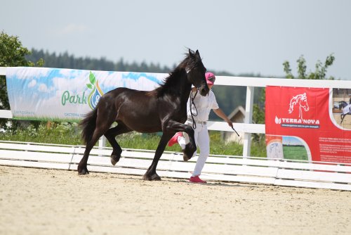 Exterieur en bewegings keuring Kartzevo Rusland